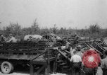 Image of Works Progress Administration United States USA, 1937, second 16 stock footage video 65675069524