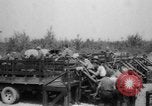 Image of Works Progress Administration United States USA, 1937, second 17 stock footage video 65675069524