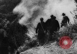 Image of Works Progress Administration United States USA, 1937, second 49 stock footage video 65675069524