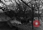 Immagine di STATI UNITI Fanteria vicino a Bitschhofen Germania WW2 Bitschhofen Germania, 1944, secondo 17 filmato di repertorio 65675069529