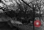 Immagine di STATI UNITI Fanteria vicino a Bitschhofen Germania WW2 Bitschhofen Germania, 1944, secondo 18 filmato di repertorio 65675069529