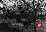 Immagine di STATI UNITI Fanteria vicino a Bitschhofen Germania WW2 Bitschhofen Germania, 1944, secondo 19 filmato di repertorio 65675069529