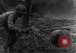 Immagine di STATI UNITI Fanteria vicino a Bitschhofen Germania WW2 Bitschhofen Germania, 1944, secondo 24 filmato di repertorio 65675069529