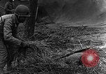Immagine di STATI UNITI Fanteria vicino a Bitschhofen Germania WW2 Bitschhofen Germania, 1944, secondo 29 filmato di repertorio 65675069529
