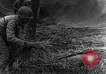 Immagine di STATI UNITI Fanteria vicino a Bitschhofen Germania WW2 Bitschhofen Germania, 1944, secondo 31 filmato di repertorio 65675069529