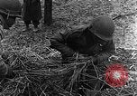 Immagine di STATI UNITI Fanteria vicino a Bitschhofen Germania WW2 Bitschhofen Germania, 1944, secondo 35 filmato di repertorio 65675069529
