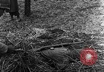Immagine di STATI UNITI Fanteria vicino a Bitschhofen Germania WW2 Bitschhofen Germania, 1944, secondo 37 filmato di repertorio 65675069529