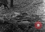 Immagine di STATI UNITI Fanteria vicino a Bitschhofen Germania WW2 Bitschhofen Germania, 1944, secondo 38 filmato di repertorio 65675069529