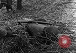 Immagine di STATI UNITI Fanteria vicino a Bitschhofen Germania WW2 Bitschhofen Germania, 1944, secondo 40 filmato di repertorio 65675069529