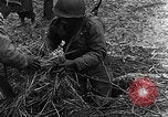 Immagine di STATI UNITI Fanteria vicino a Bitschhofen Germania WW2 Bitschhofen Germania, 1944, secondo 42 filmato di repertorio 65675069529