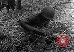 Immagine di STATI UNITI Fanteria vicino a Bitschhofen Germania WW2 Bitschhofen Germania, 1944, secondo 43 filmato di repertorio 65675069529