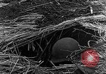 Immagine di STATI UNITI Fanteria vicino a Bitschhofen Germania WW2 Bitschhofen Germania, 1944, secondo 51 filmato di repertorio 65675069529