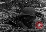Immagine di STATI UNITI Fanteria vicino a Bitschhofen Germania WW2 Bitschhofen Germania, 1944, secondo 52 filmato di repertorio 65675069529