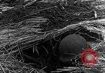 Immagine di STATI UNITI Fanteria vicino a Bitschhofen Germania WW2 Bitschhofen Germania, 1944, secondo 54 filmato di repertorio 65675069529
