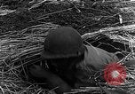 Immagine di STATI UNITI Fanteria vicino a Bitschhofen Germania WW2 Bitschhofen Germania, 1944, secondo 57 filmato di repertorio 65675069529