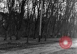 Image of US troops in woods Haguenau France, 1944, second 6 stock footage video 65675069534