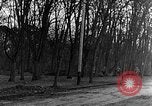 Image of US troops in woods Haguenau France, 1944, second 7 stock footage video 65675069534