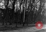 Image of US troops in woods Haguenau France, 1944, second 8 stock footage video 65675069534
