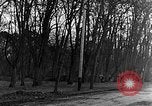 Image of US troops in woods Haguenau France, 1944, second 10 stock footage video 65675069534