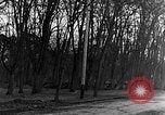 Image of US troops in woods Haguenau France, 1944, second 11 stock footage video 65675069534