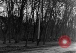 Image of US troops in woods Haguenau France, 1944, second 12 stock footage video 65675069534