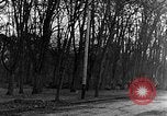 Image of US troops in woods Haguenau France, 1944, second 13 stock footage video 65675069534
