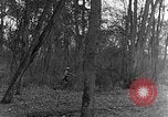 Image of US troops in woods Haguenau France, 1944, second 14 stock footage video 65675069534
