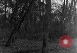 Image of US troops in woods Haguenau France, 1944, second 15 stock footage video 65675069534