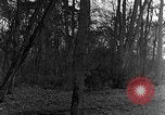 Image of US troops in woods Haguenau France, 1944, second 16 stock footage video 65675069534