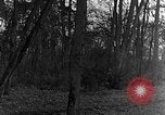 Image of US troops in woods Haguenau France, 1944, second 18 stock footage video 65675069534