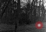 Image of US troops in woods Haguenau France, 1944, second 19 stock footage video 65675069534