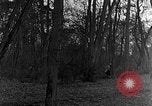Image of US troops in woods Haguenau France, 1944, second 20 stock footage video 65675069534