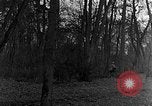 Image of US troops in woods Haguenau France, 1944, second 21 stock footage video 65675069534