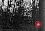 Image of US troops in woods Haguenau France, 1944, second 25 stock footage video 65675069534