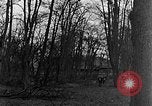 Image of US troops in woods Haguenau France, 1944, second 26 stock footage video 65675069534