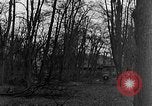 Image of US troops in woods Haguenau France, 1944, second 27 stock footage video 65675069534
