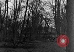 Image of US troops in woods Haguenau France, 1944, second 28 stock footage video 65675069534