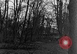 Image of US troops in woods Haguenau France, 1944, second 29 stock footage video 65675069534