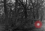 Image of US troops in woods Haguenau France, 1944, second 30 stock footage video 65675069534