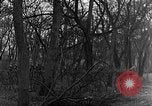 Image of US troops in woods Haguenau France, 1944, second 31 stock footage video 65675069534