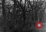 Image of US troops in woods Haguenau France, 1944, second 32 stock footage video 65675069534