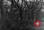 Image of US troops in woods Haguenau France, 1944, second 33 stock footage video 65675069534