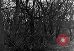 Image of US troops in woods Haguenau France, 1944, second 34 stock footage video 65675069534