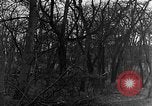 Image of US troops in woods Haguenau France, 1944, second 35 stock footage video 65675069534