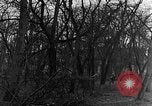 Image of US troops in woods Haguenau France, 1944, second 37 stock footage video 65675069534