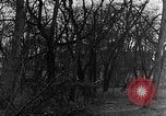 Image of US troops in woods Haguenau France, 1944, second 38 stock footage video 65675069534