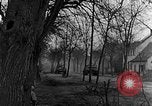 Image of US troops in woods Haguenau France, 1944, second 55 stock footage video 65675069534