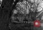 Image of US troops in woods Haguenau France, 1944, second 59 stock footage video 65675069534