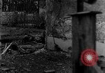 Standbild M4 Sherman Panzer Haguenau Frankreich, 1944, aus Sekunde 57 historischem Filmmaterial Videoclip 65675069535