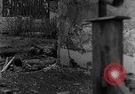 Standbild M4 Sherman Panzer Haguenau Frankreich, 1944, aus Sekunde 58 historischem Filmmaterial Videoclip 65675069535